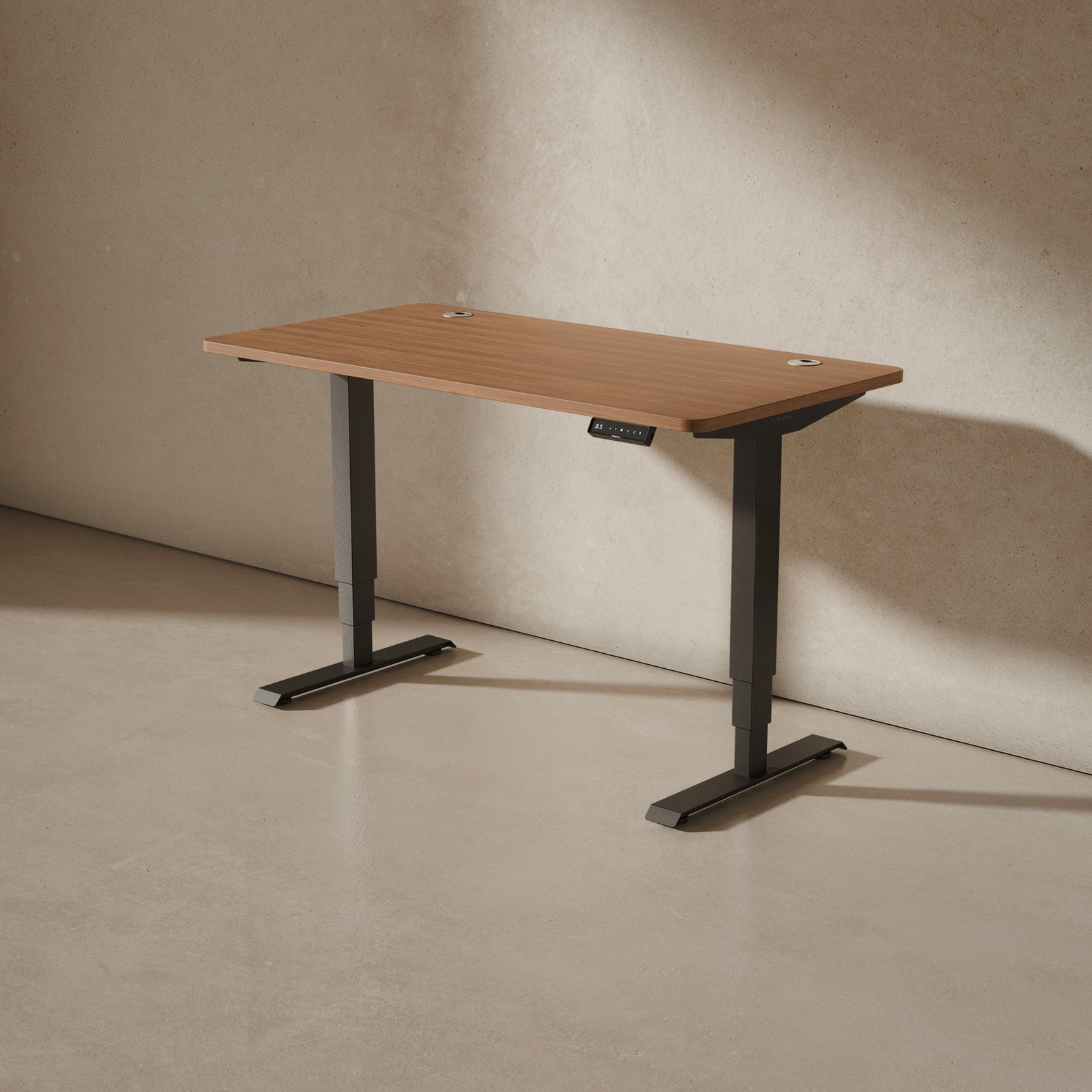 HomePro desk
