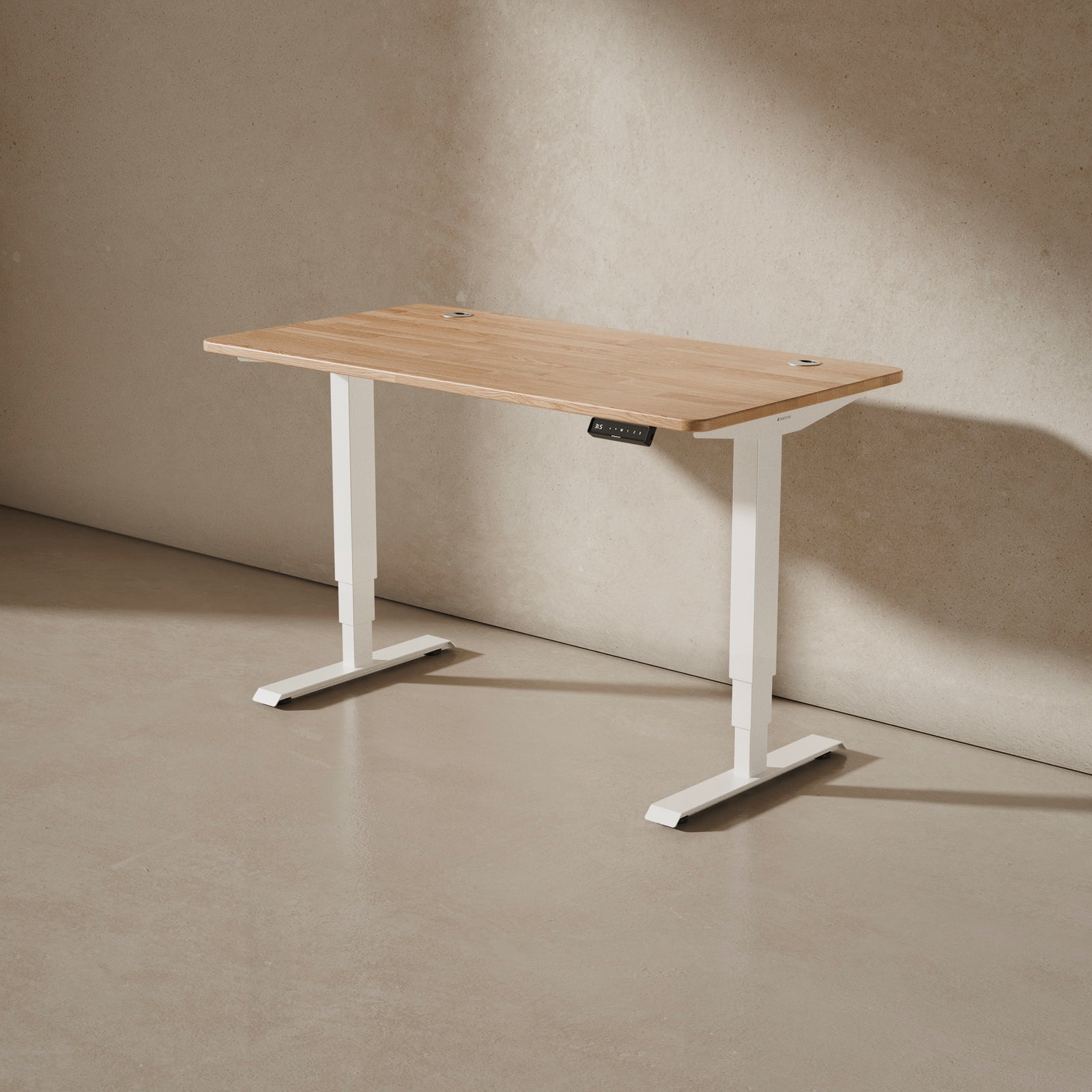 HomePro desk