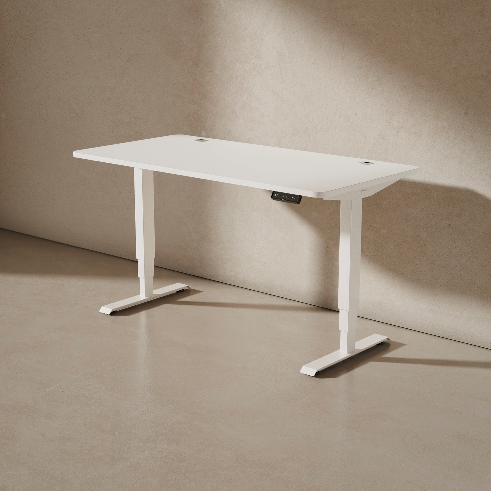 HomePro desk