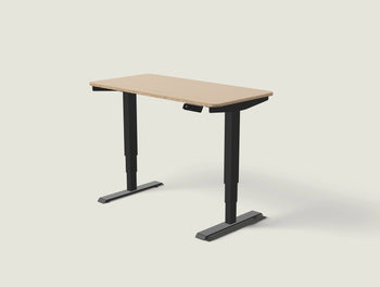 Load image into Gallery viewer, HomePro desk