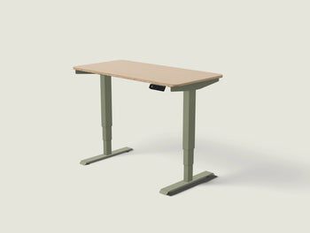 Load image into Gallery viewer, HomePro desk