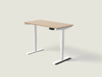 Load image into Gallery viewer, HomePro desk