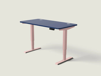 Load image into Gallery viewer, HomePro desk