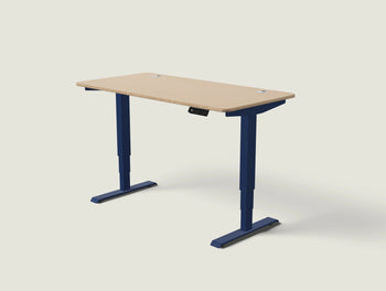 Load image into Gallery viewer, HomePro desk