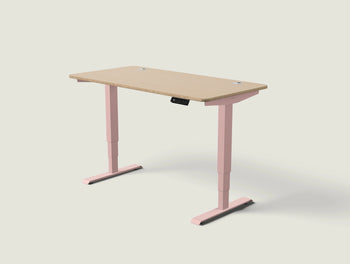 Load image into Gallery viewer, HomePro desk