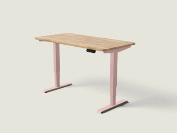 Load image into Gallery viewer, HomePro desk