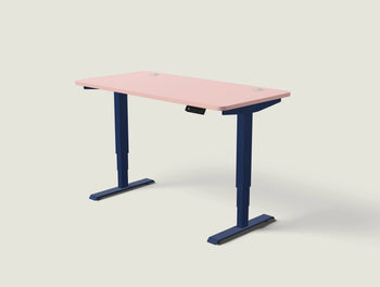 Load image into Gallery viewer, HomePro desk