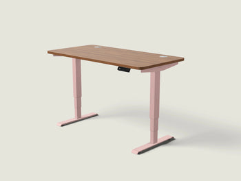 Load image into Gallery viewer, HomePro desk