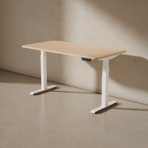 HomeOne desk