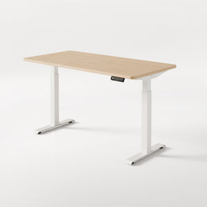 HomeOne desk