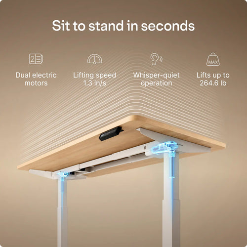 HomeOne desk