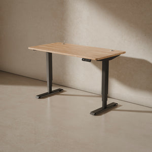 HomePro desk