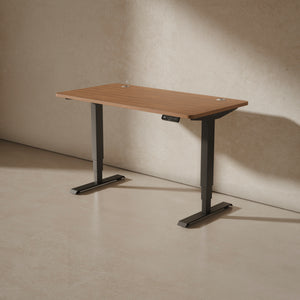 HomePro desk