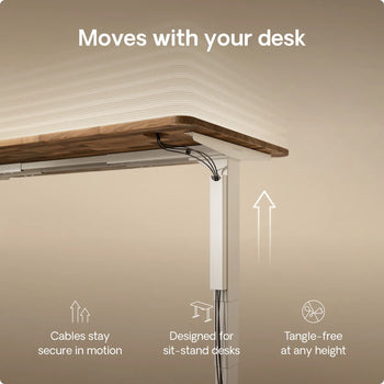 Load image into Gallery viewer, 
