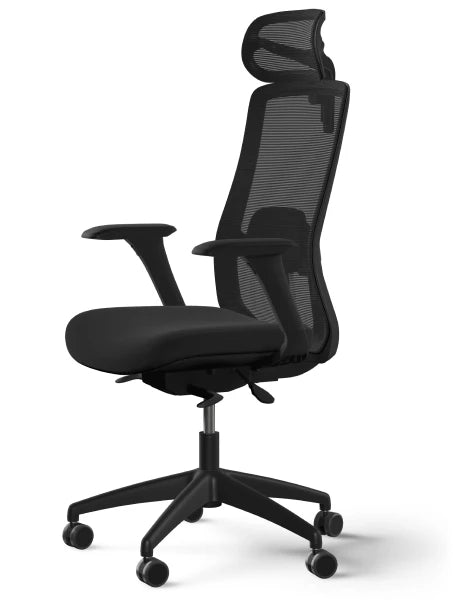 SitOne ergonomic chair