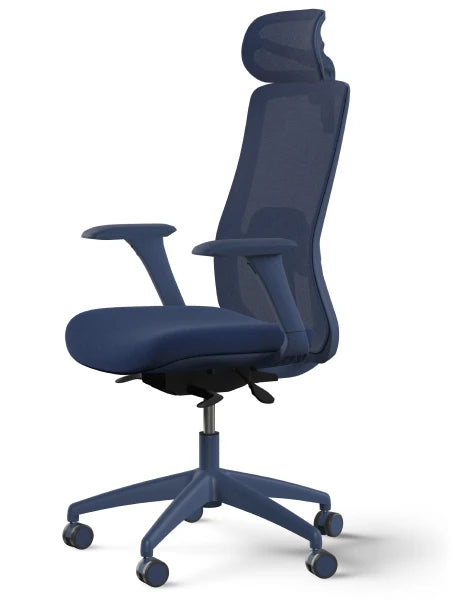 SitOne ergonomic chair