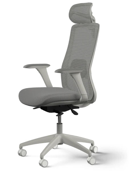SitOne ergonomic chair