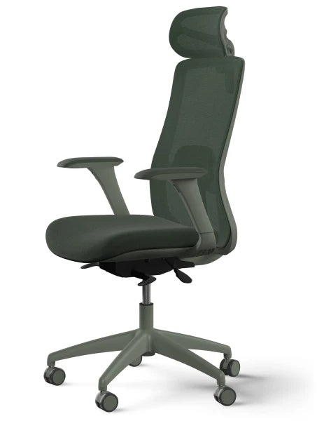 SitOne ergonomic chair