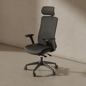 SitOne ergonomic chair