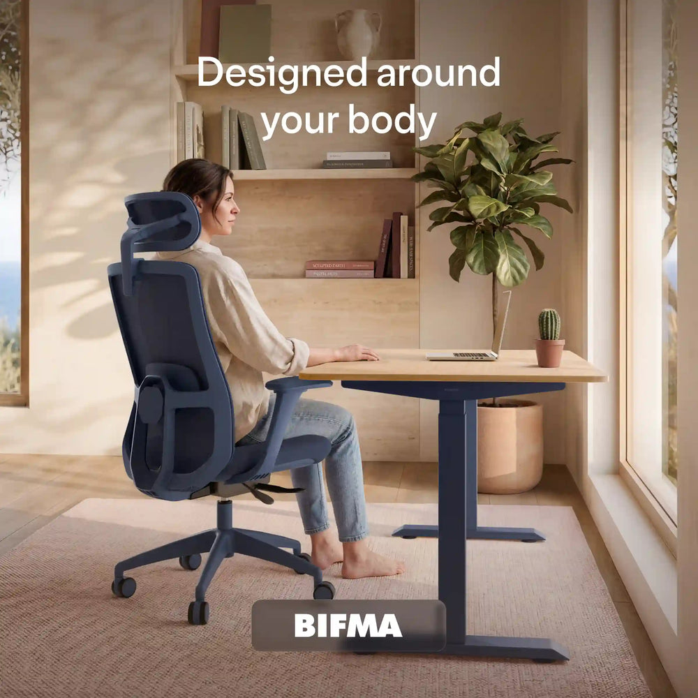 SitOne ergonomic chair