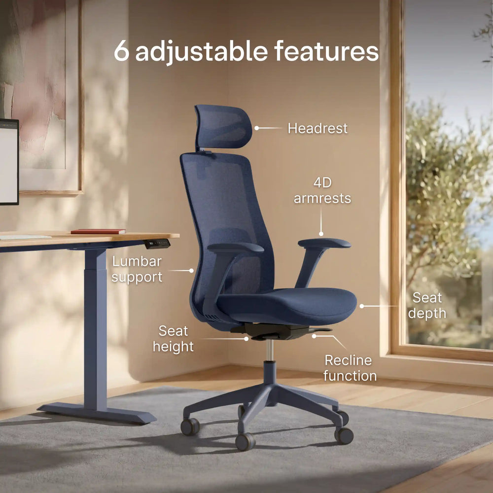 SitOne ergonomic chair