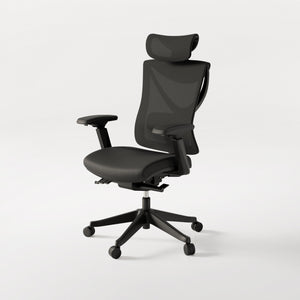 SitPro ergonomic chair