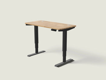 Load image into Gallery viewer, HomePro desk
