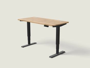 Load image into Gallery viewer, HomePro desk
