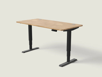 Load image into Gallery viewer, HomePro desk
