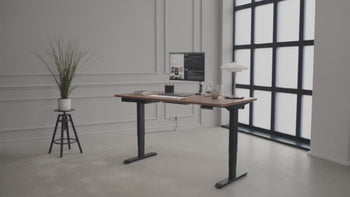 Load and play video in Gallery viewer, HomePro desk
